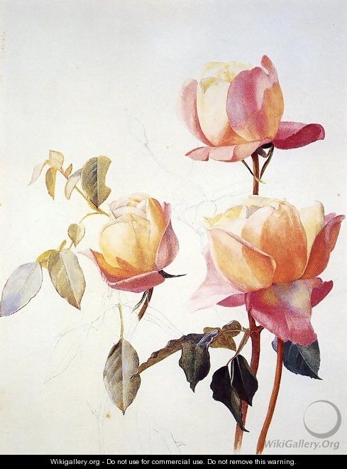 Florentine Roses - Henry Roderick Newman