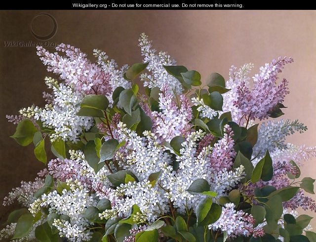 Spray of Lilacs - Raoul Maucherat de Longpre
