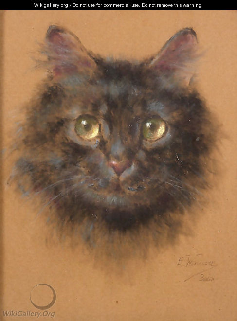 Cat - Jerzy Edward Winiarz