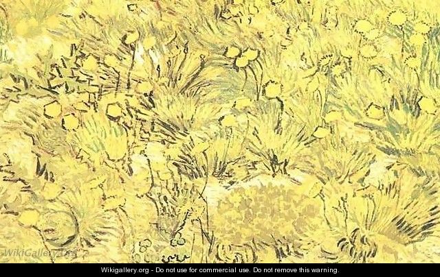 Field Of Yellow Flowers A - Vincent Van Gogh