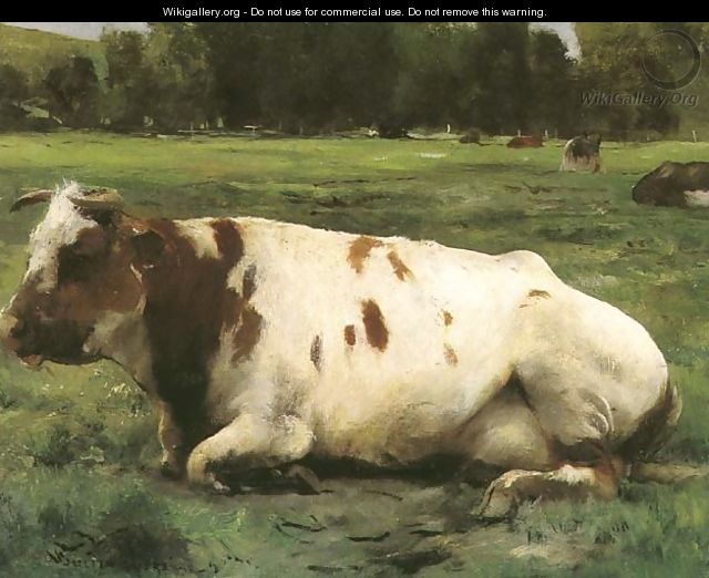 Cow - Julien Dupre