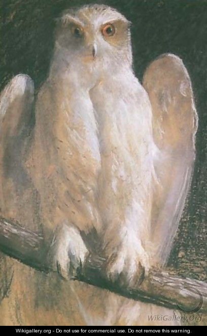 Owl - Leon Wyczolkowski