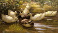 Enten in Wasser Unter Birken - Alexander Max Koester