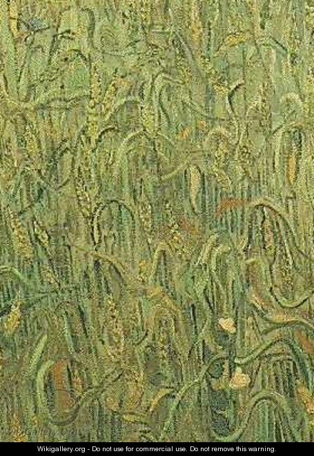 Ears Of Wheat - Vincent Van Gogh