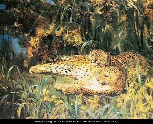 Indian Leopards - John Macallan Swan