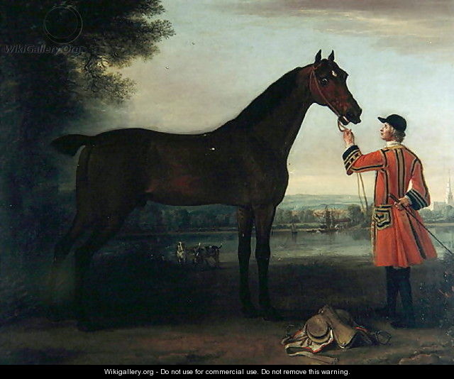 Red Robin, c.1743-6 - John Wootton