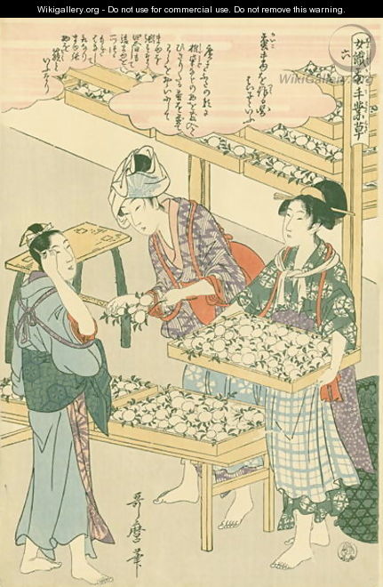 The cocoon stage, no.6 from Joshoku kaiko tewaza-gusa, c.1800 - Kitagawa Utamaro