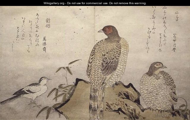 Two Copper Pheasants and a Wagtail, from an album Birds compared in Humorous Songs, 1791 - Kitagawa Utamaro