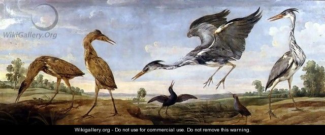 Bitterns, Herons and Water Rails in a Landscape - Paul de Vos