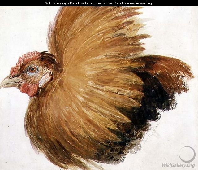 Game-Cock, from The Farnley Book of Birds, c.1816 - Joseph Mallord William Turner