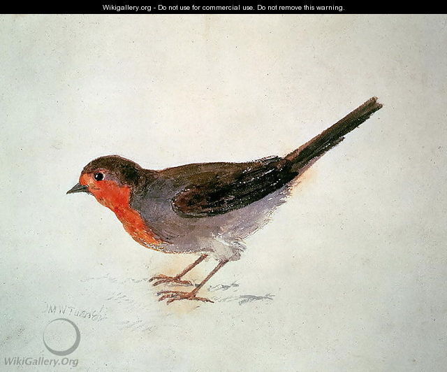 Robin, from The Farnley Book of Birds, c.1816 - Joseph Mallord William Turner