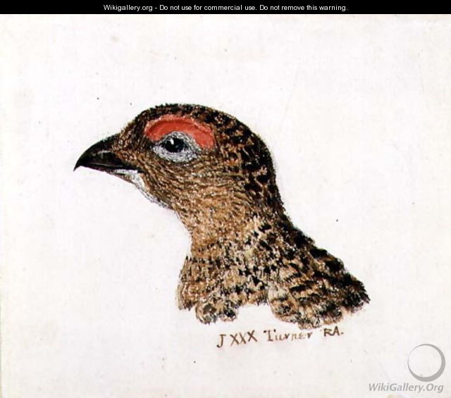 Head of Grouse, from The Farnley Book of Birds, c.1816 - Joseph Mallord William Turner