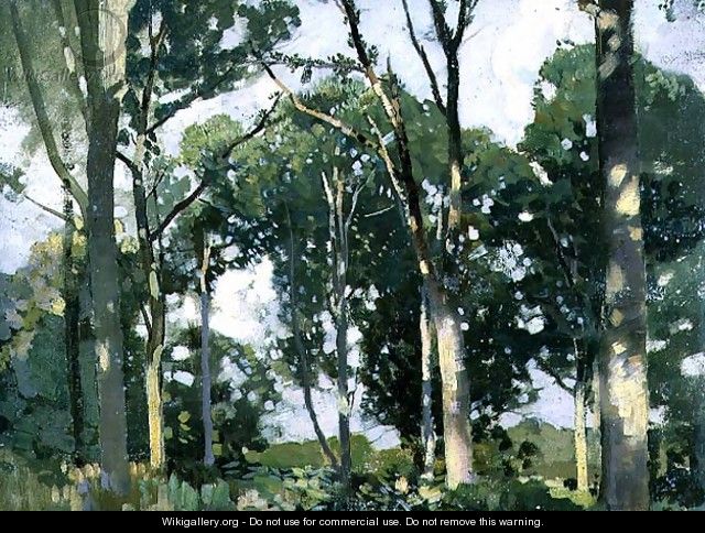 Trees in sunlight - Harry Watson