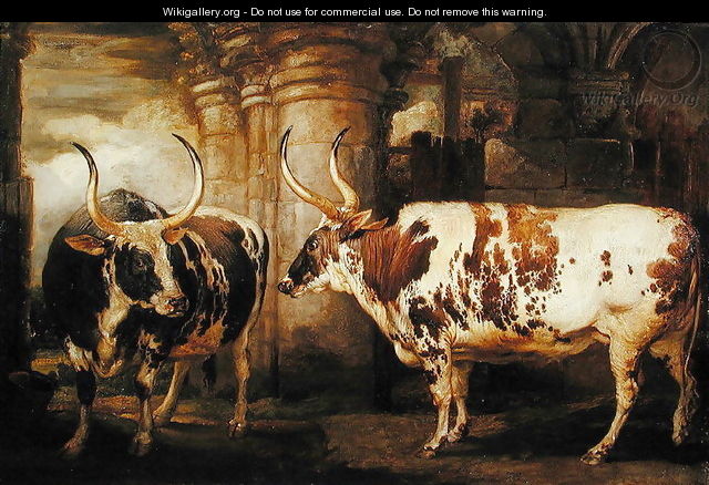 Portraits of two extraordinary oxen, the property of the Earl of Powis, 1814 - James Ward
