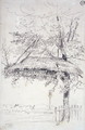A Thatched Shelter Suspended from a Tree - James Ward