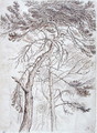 Study of Trees - James Ward