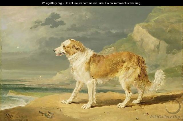 Rough-coated Collie, 1809 - James Ward