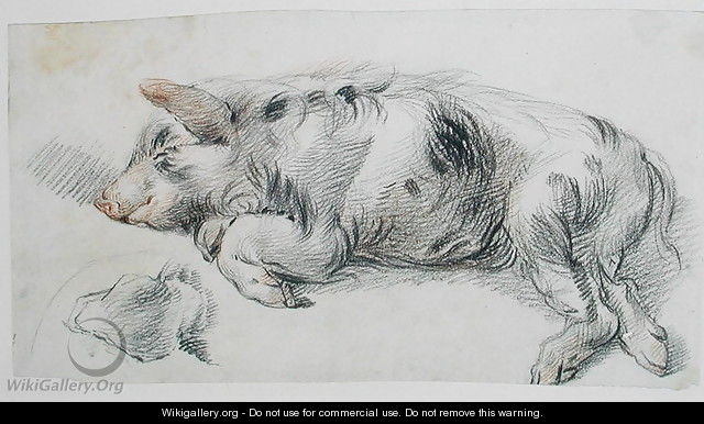 Sleeping Pig - James Ward