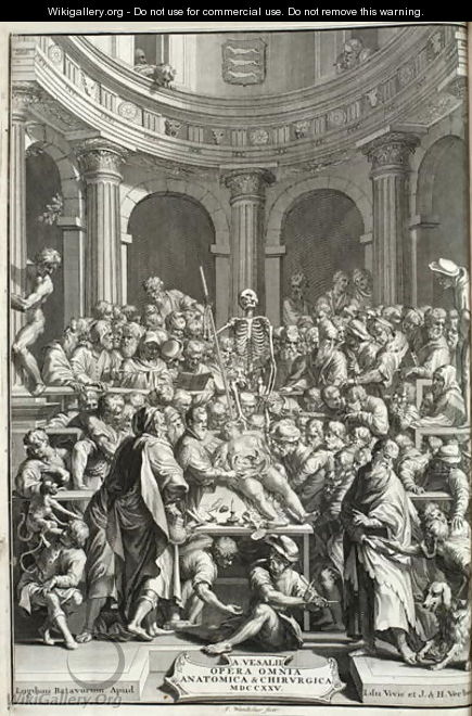 Public dissection in an anatomy theatre, 1725 - Jan Wandelaar