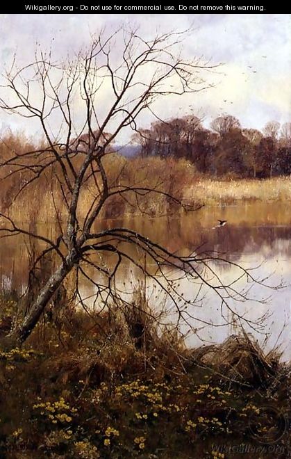 Marsh Marigolds, Paddington Pond, Abinger Hammer, 1892 - Edward Wilkins Waite
