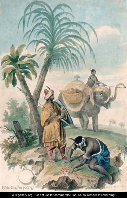 Africa, published c.1790 - G. Wagner
