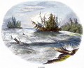 Rapids, from Phenomena of Nature, 1849 - Josiah Wood Whymper