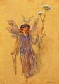 A Fairy, costume design for A Midsummer Nights Dream, produced by R. Courtneidge at the Princes Theatre, Manchester - C. Wilhelm