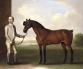Regulus, a dark bay racehorse with a groom - James Seymour