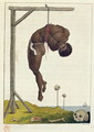 A Negro hung alive by the Ribs to a Gallows, from Narrative of a Five Years Expedition against the Revolted Negroes of Surinam, in Guiana, on the Wild Coast of South America, from the year 1772, to 1777, engraved by William Blake 1757-1827 2 - John Gabriel Stedman