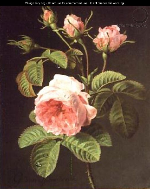 A Branch of Roses - Cornelis van Spaendonck