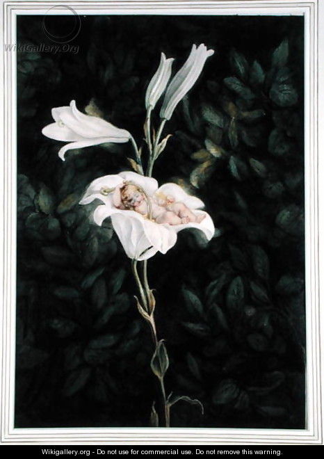Cradling Lilies - Maria Spilsbury
