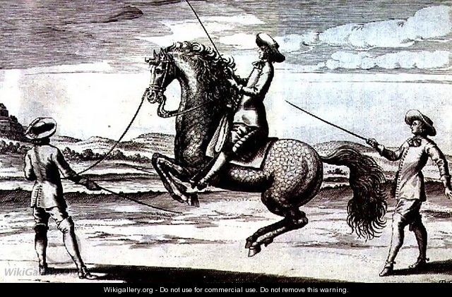 Illustration of a horse en Croupade from New Treatise for Breeding Horses written by Winters, Stuterey and Reit-Schul, pub. 1672 - Peter Paul Troschel