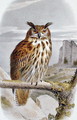 Eurasian Eagle Owl Bubo Bubo - Edouard Travies
