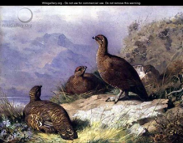 Red Grouse on the Shore of a Loch - Archibald Thorburn