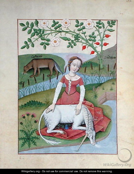 Illustration from the Book of Simple Medicines by Mattheaus Platearius d.c.1161 c.1470 4 - Robinet Testard