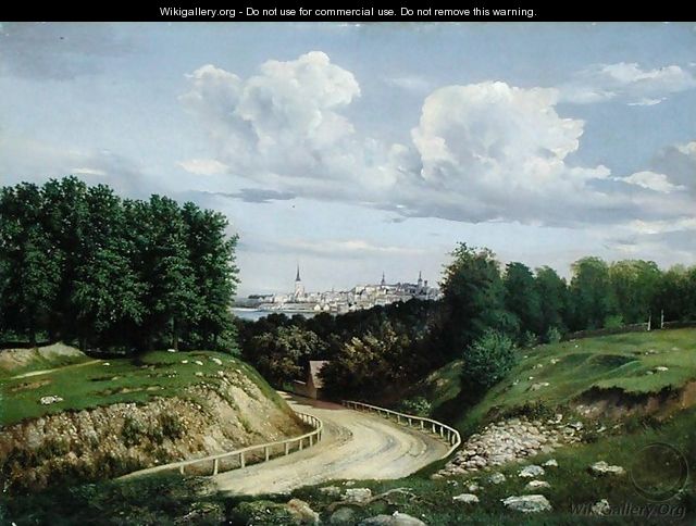 View of Tallinn - Alexander Georg Schlater