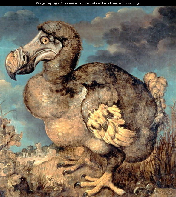 The Dodo, 1651 - Hans I Savery
