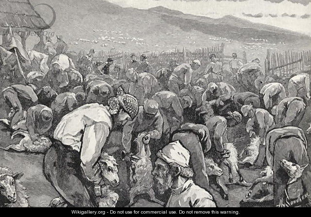 Sheepshearing in Southern California, from the book The Century Illustrated Monthly Magazine, May to October, 1883 - Henry Sandham