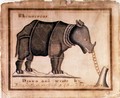 Rhinoceros, drawn and wrote by William Twiddy who never had the use of hands or feet, June 1st 1744 - William Twiddy