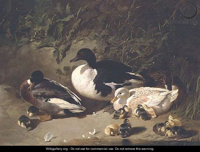 Ducks and Ducklings by a Pond - John Frederick Herring Snr