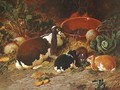 Fancy Rabbits, a Doe with her Young, 1863 - John Frederick Herring Snr