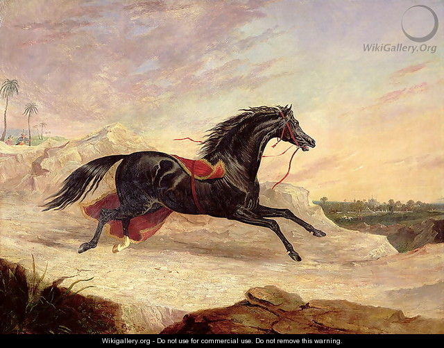 Arabs chasing a loose arab horse in an eastern landscape - John Frederick Herring Snr
