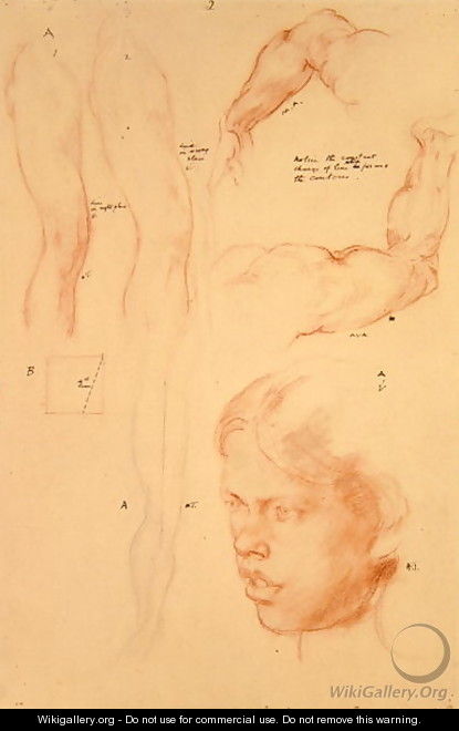 Annotated demonstration, Drawings and a Study of a Girl