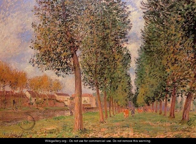 The Poplar Avenue at Moret, Cloudy Day, Morning, 1888 - Alfred Sisley