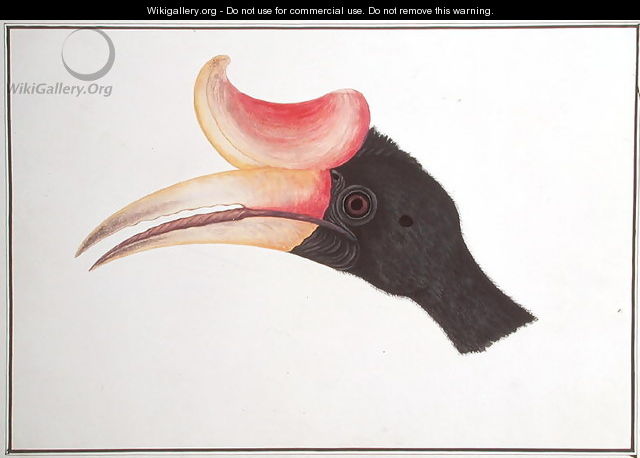 Head of a Bird, from 
