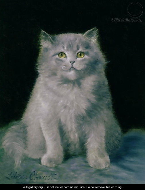 Study of a cat - Lilian Cheviot
