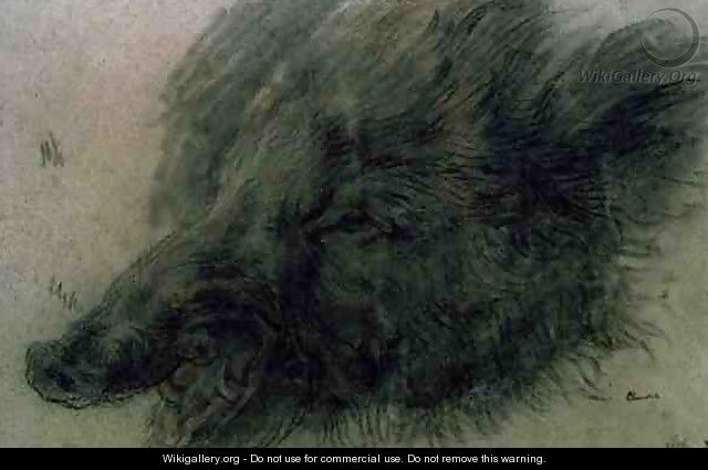 Head of a Wild Boar - Jean-Baptiste-Simeon Chardin