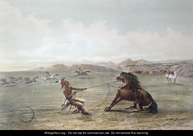 Catching Wild Horses on the Plains - George Catlin