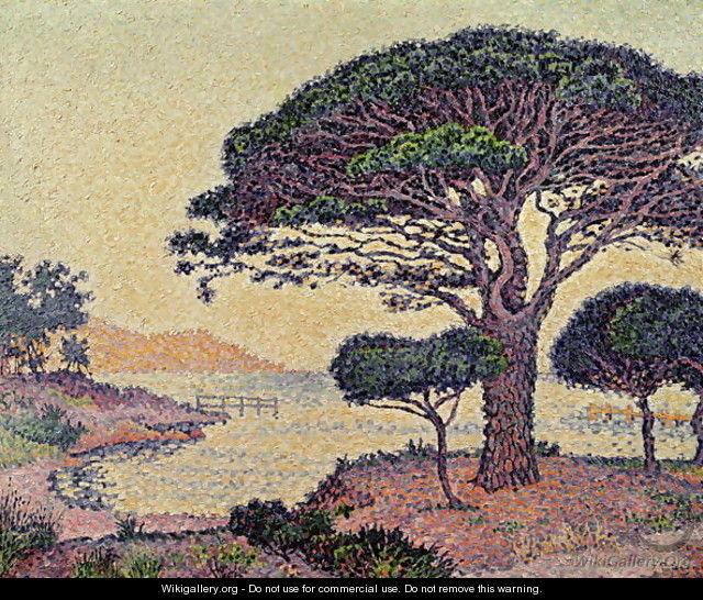 Umbrella Pines at Caroubiers, 1898 - Paul Signac