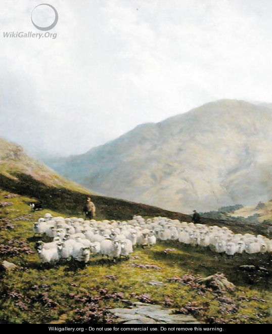 Shepherd and Sheep, Perthshire - Dixon Clark